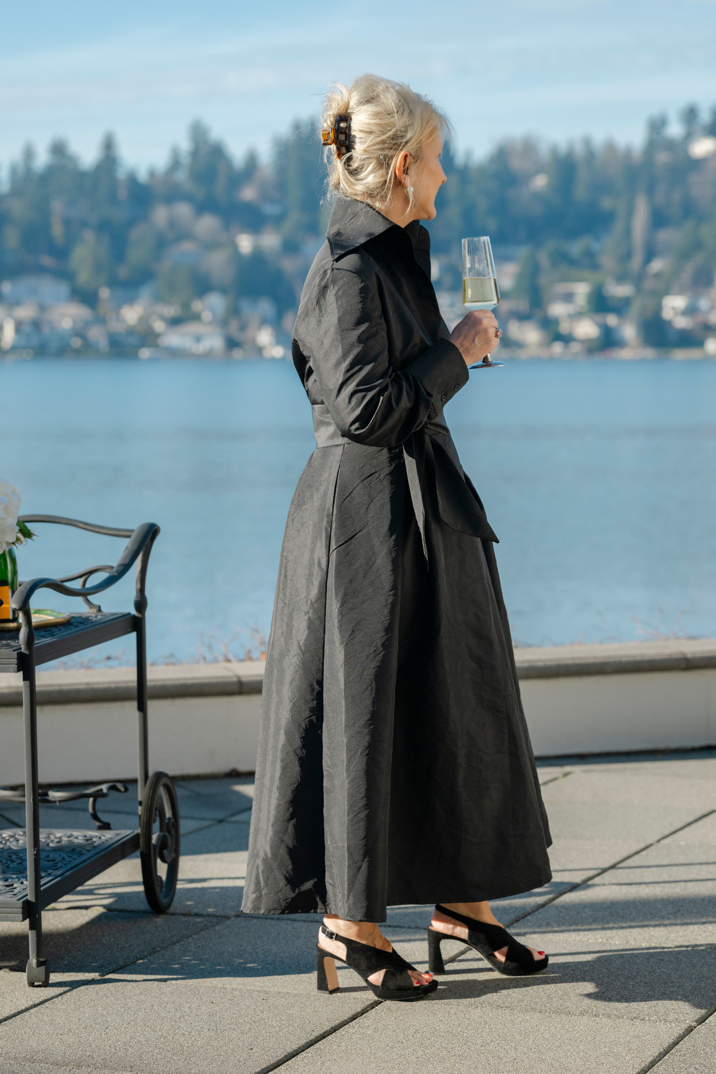Peggy Taffeta Dress