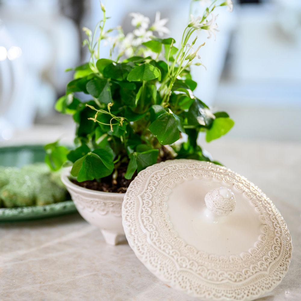 Finezza Petite Covered Dish