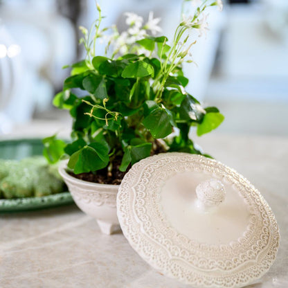 Finezza Petite Covered Dish