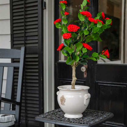 Scavo Monarch Pot - New