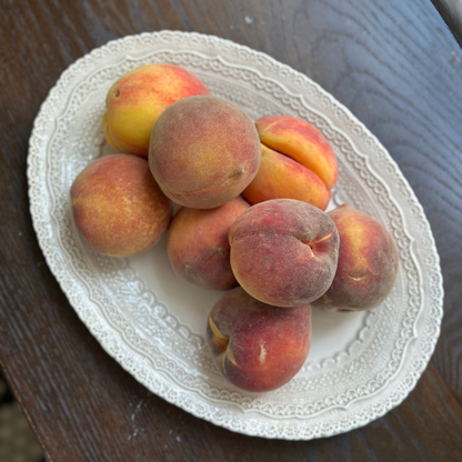 Arte Italica Finezza cream medium oval tray – Italian ceramic serving platter with ornate lace design