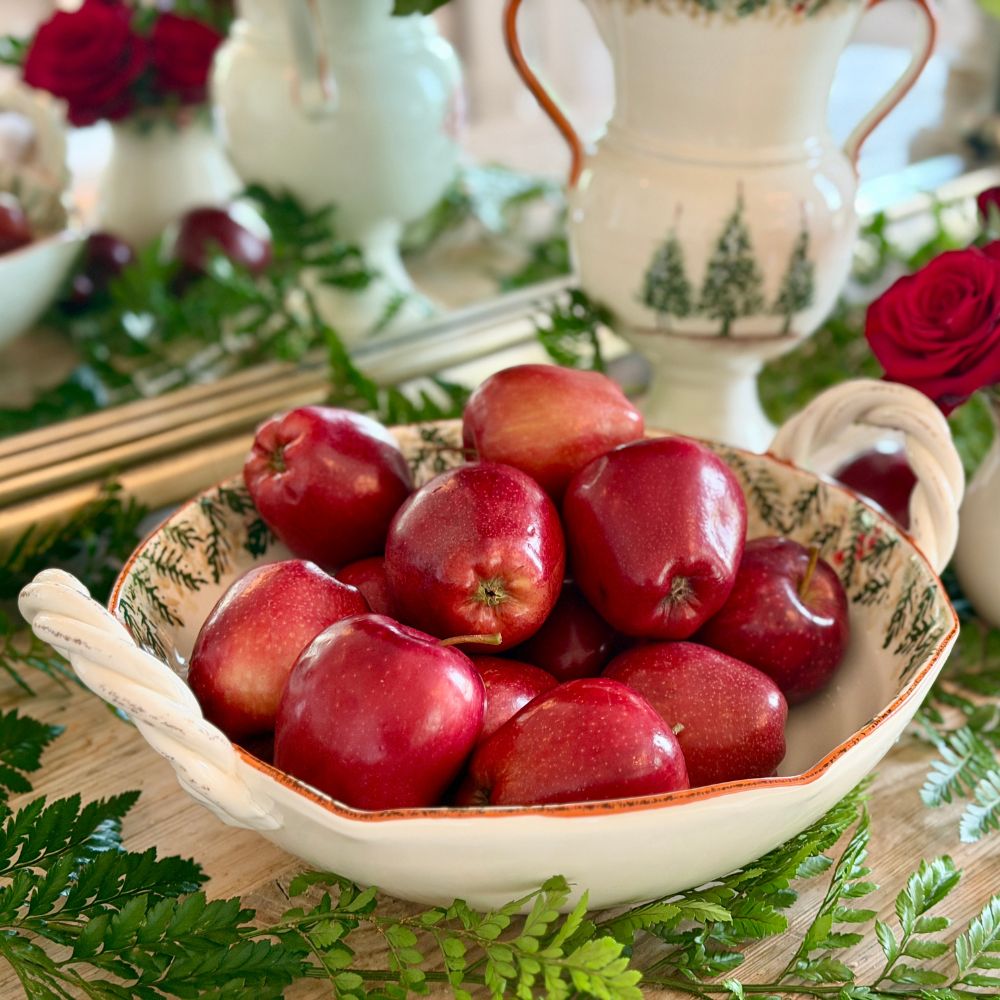 Natale Ceramic Twist Handle Bowl